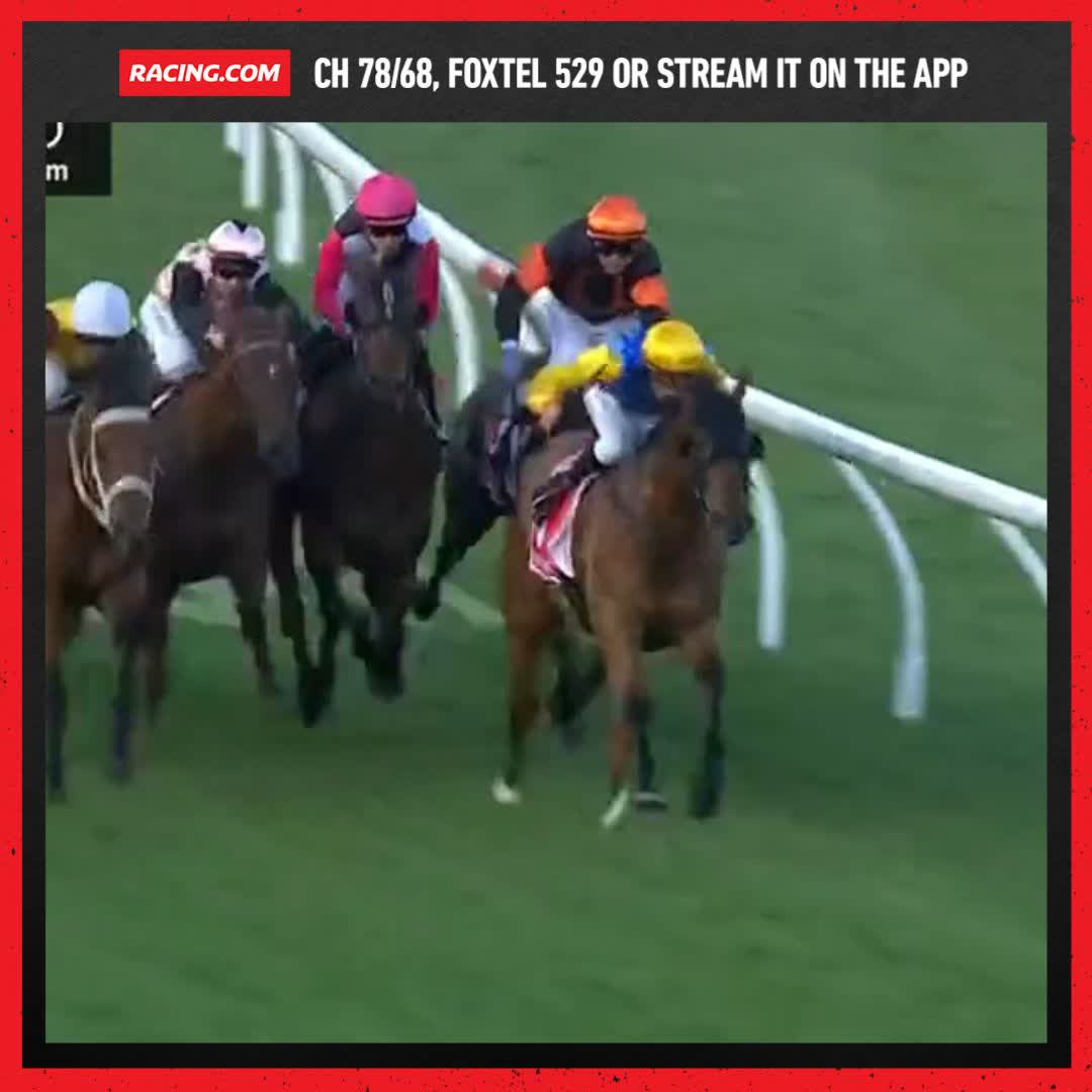 So Unusual charges home for a last gasp victory 💥 McEvoy Mitchell Racing Declan Bates