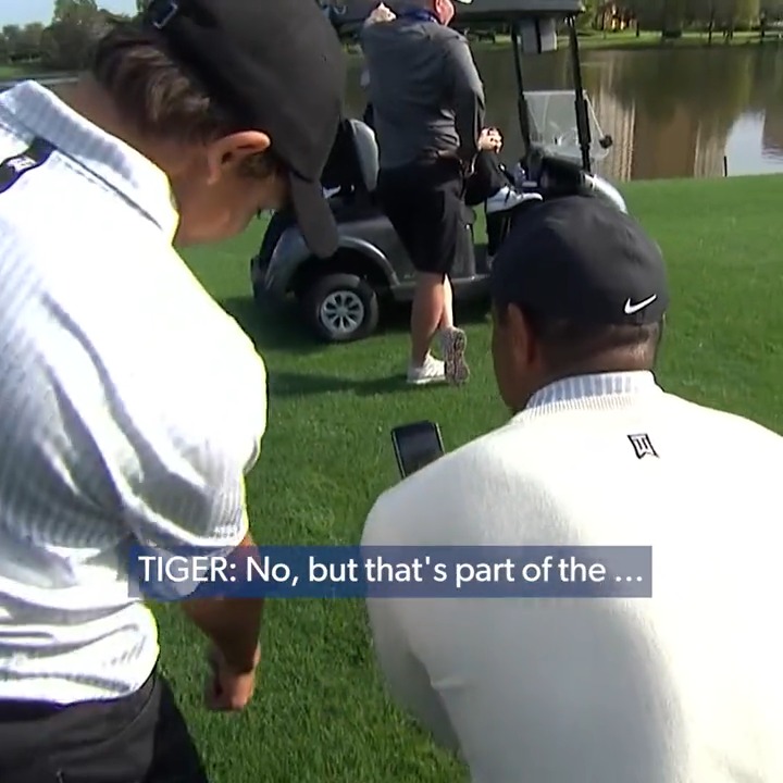 Impromptu lessons with dad 🐅