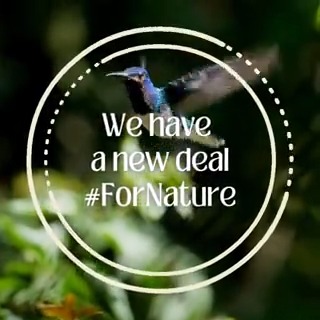 The 🆕 global #Biodiversity Agreement will ensure that nature keeps sustaining communities &amp; economies for the next decades With the Paris Agreement, it paves the way towards a climate-neutral, #NaturePositive &amp; resilient 🌎 by 2050 #EUatCOP15 #COP15
