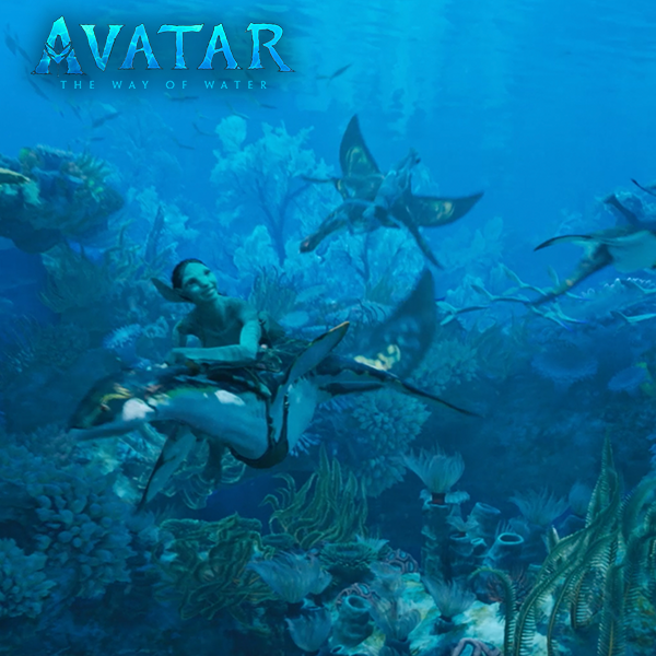 Just breathe 💙 #AvatarTheWayOfWater is now playing only in theaters. Get tickets now: