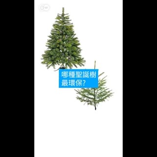 塑料圣诞树 vs. 天然圣诞树,哪个更环保?🎄❄