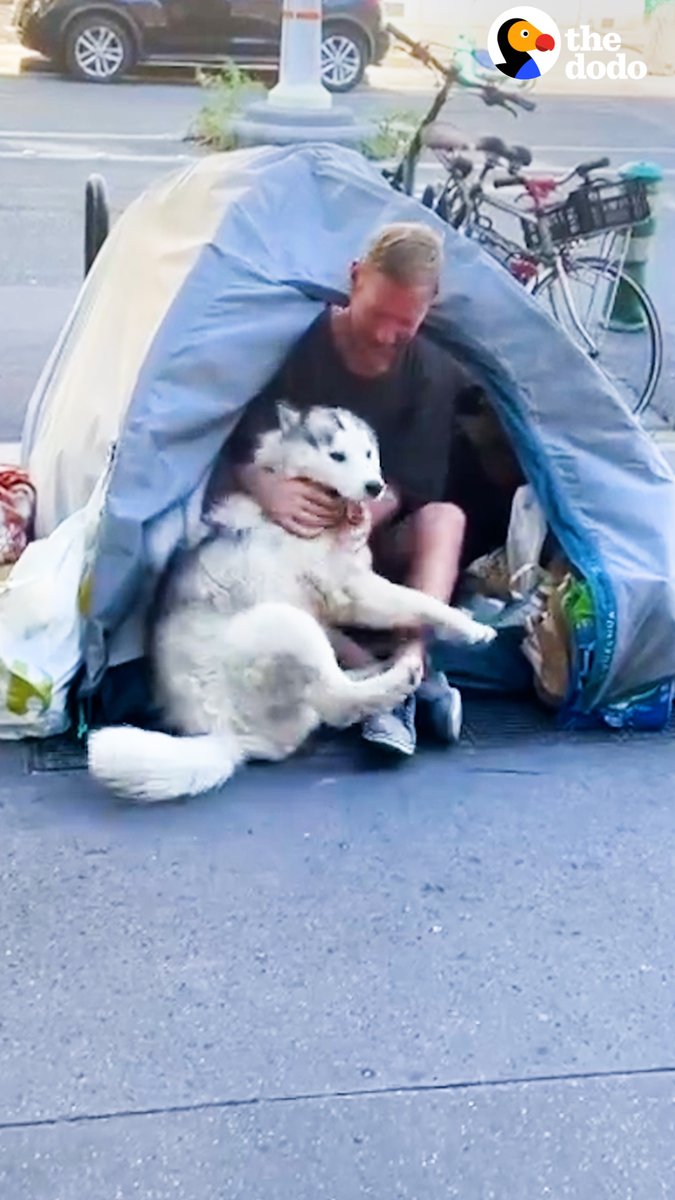Husky falls in love with man living on the street in Paris — and the result is something no one could have ever imagined 😭💙 Special thanks to Sora & Thibault! Follow along on TikTok: & Instagram: