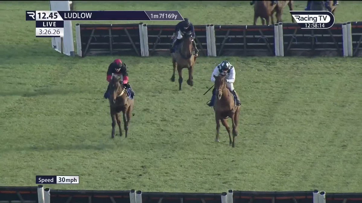 Nice performance - Georgi Girl attracted some support before the off and stays on strongly to make a winning hurdling debut at Ludlow Racecourse for Philip Hobbs & Johnson White Racing and Tomas O'Brien 🏇