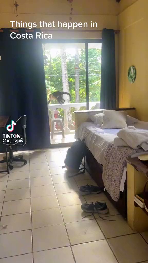 ¡Esto es Costa Rica!