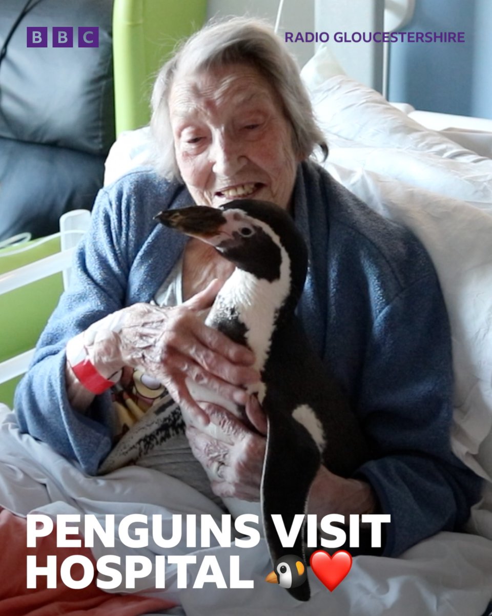 So cute! 😍❤️ Penguins visited these patients in hospital for Christmas 🐧🎄