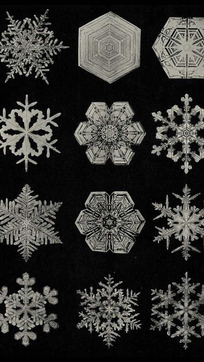 In the late 1800s, Wilson Bentley captured the first successful image of a single snowflake, using a bellows camera attached to a microscope. Revisit more of our favorites here: