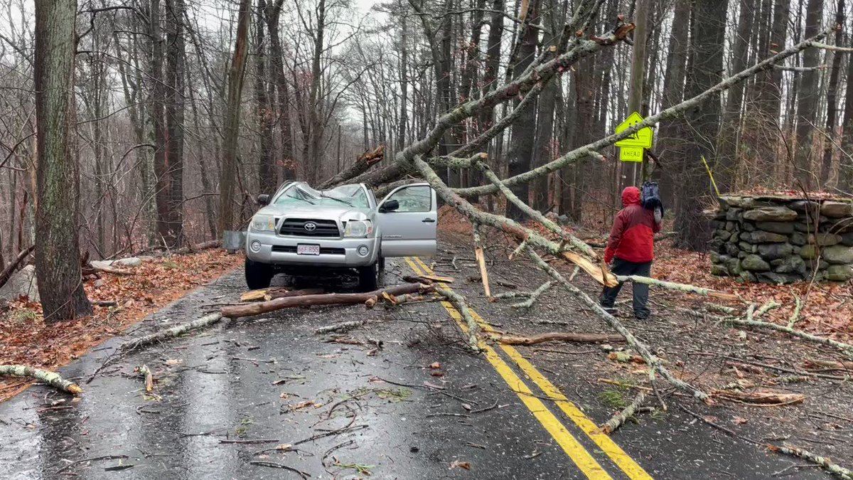 Andover Update: driver miraculously walks away after tree comes crashing down and crushes his pick up truck..tow truck driver tells us the man behind the wheel went to play the lottery #7News