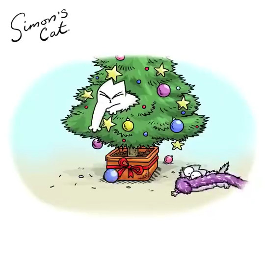 Are you Christmas Ready?!
