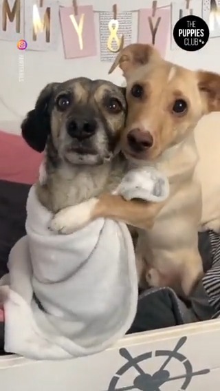 So much love! 🥰🤩 (fairytrails /IG)