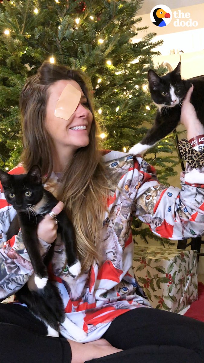 Getting the family to pose for a xmas card 😹 (wait til the fourth attempt!)