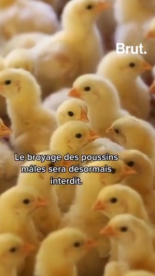 Voici ce qui va changer au 1er Janvier 2023.