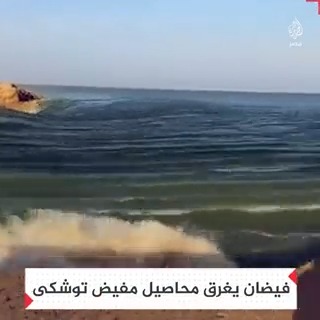 "عرق وشقاء الناس خلاص راح".. فيضان بمفيض توشكى يُغرق المحاصيل الزراعية المجاورة