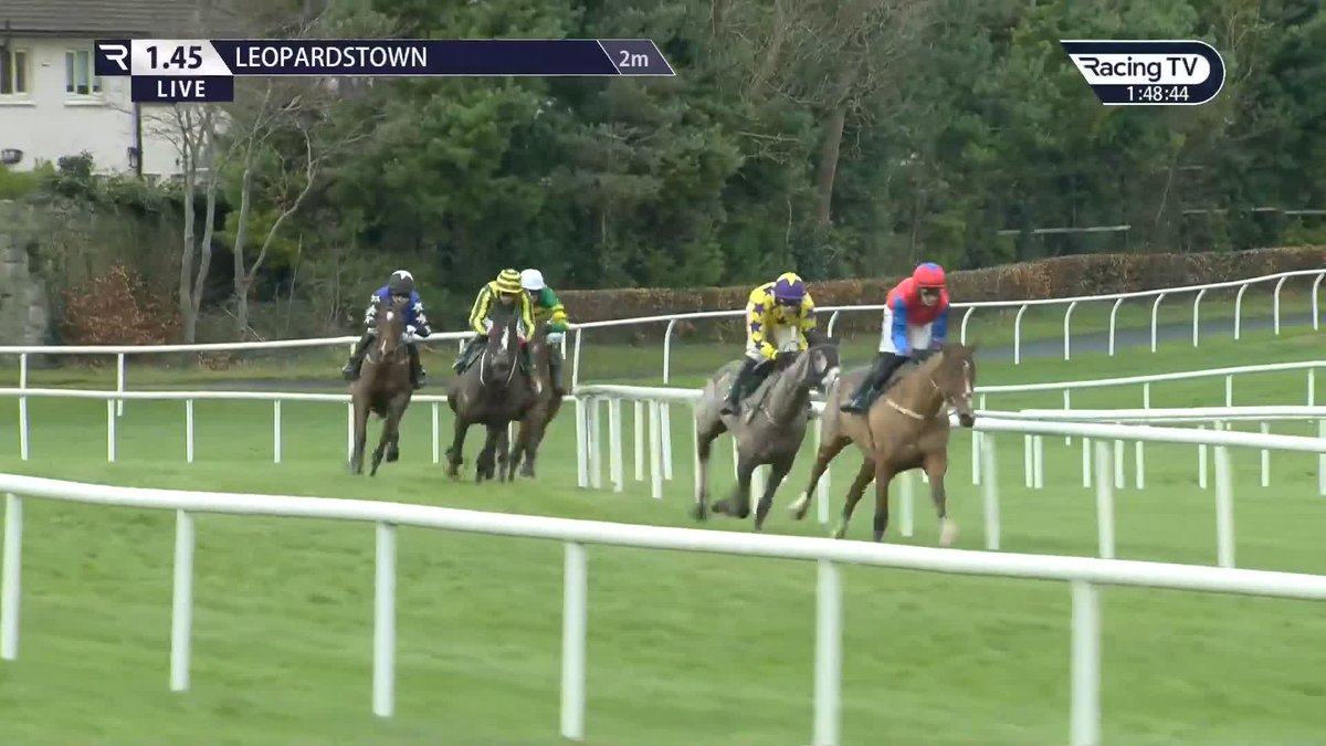 🚀 FACILE VEGA is a serious weapon with the world at his feet, he's won that Grade 1 with ease!! Marks out of 🔟 for that performance today boys?