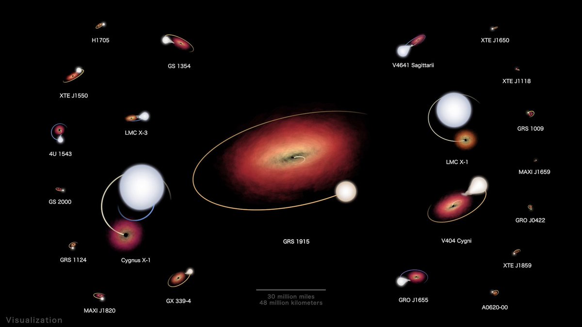 We can’t see them, but we know they’re there! ⚫ In this NASA visualization, we see 22 X-ray binary systems that host confirmed black holes, all shown at the same scale and with their orbits sped up by about 22,000 times.
