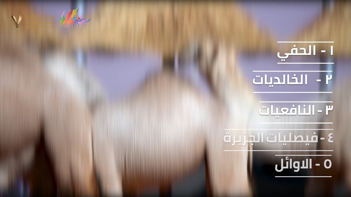 النتائج حولنا.. شاركونا توقعاتكم لبطل شلفا ولي العهد لون الشقح 🤔 #مهرجان_الملك_عبدالعزيز_للإبل7 | #همة_طويق