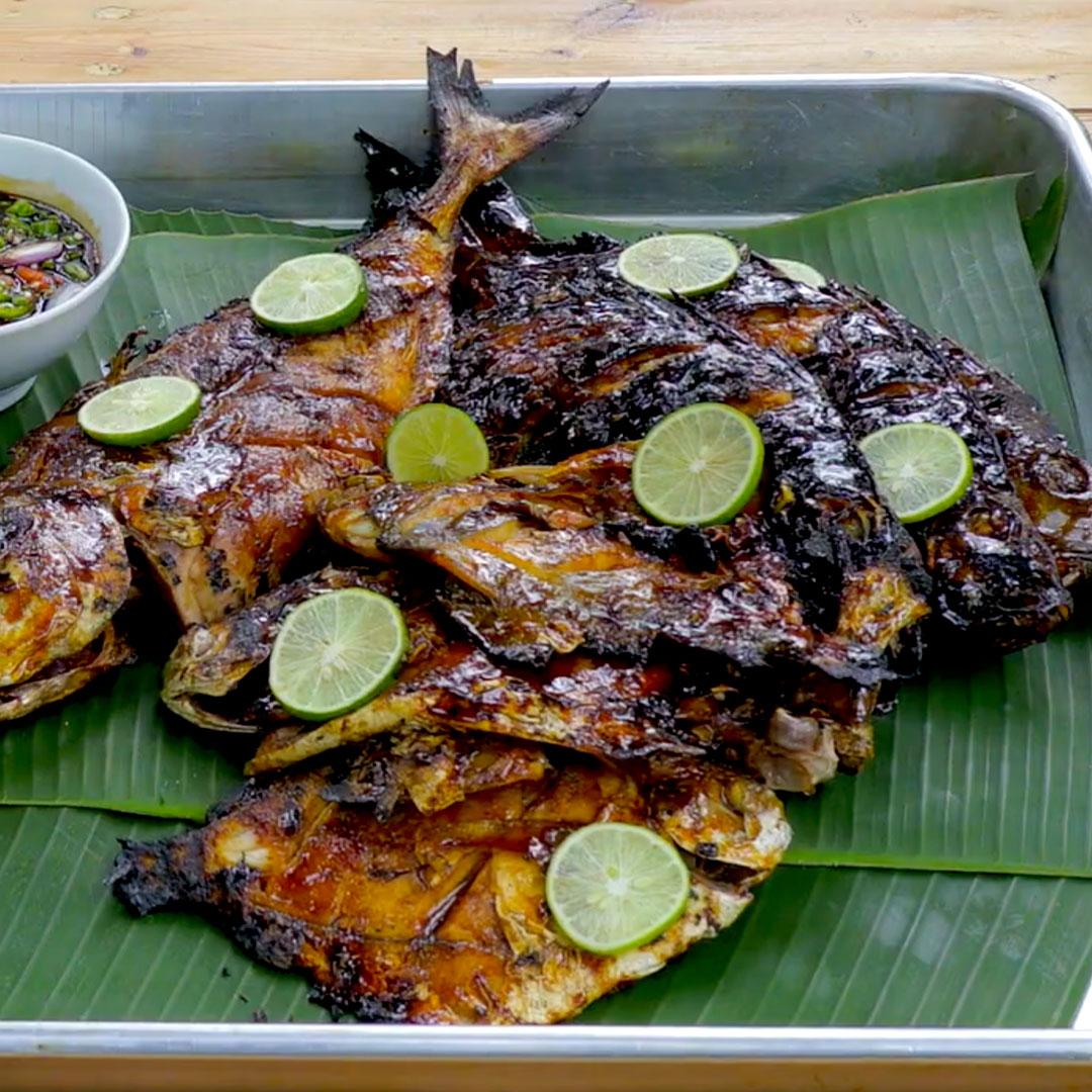 Persiapan tahun baru nih gais, yang mau olah ikan untuk dibakar pas tahun baru. Tonton video ini sampai akhir, ikutin cara buat 4 Resep Ikan Bakar Simple Tapi Enak, selamat mencoba ✨✨ Resep lengkap klik :