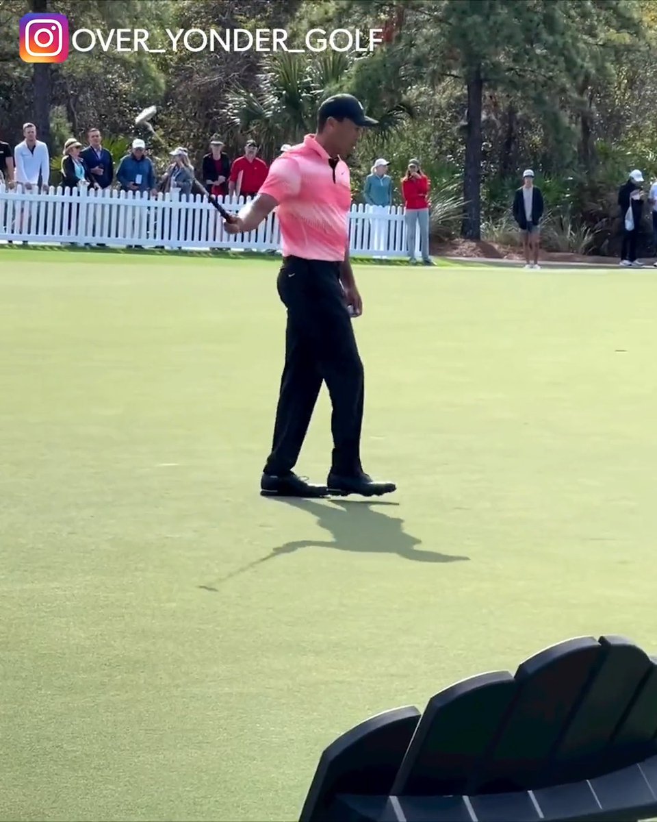 Tiger is too smooth Fore Play