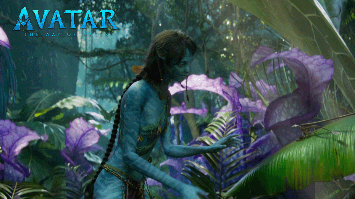 There’s no place like Pandora 💙 Experience #AvatarTheWayOfWater now playing in 3D only in theaters. Get tickets now: