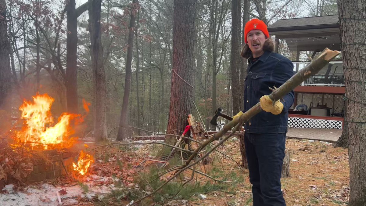 This one goes out to the EU: Wood biomass is NOT “renewable energy,” “green,” or “carbon neutral.” Stop chopping down American trees and pretending you’re saving the planet.