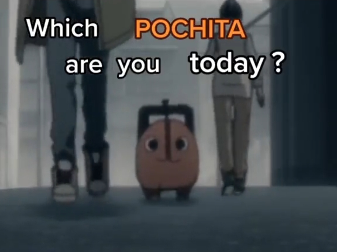 🌠 Which Pochita are you?