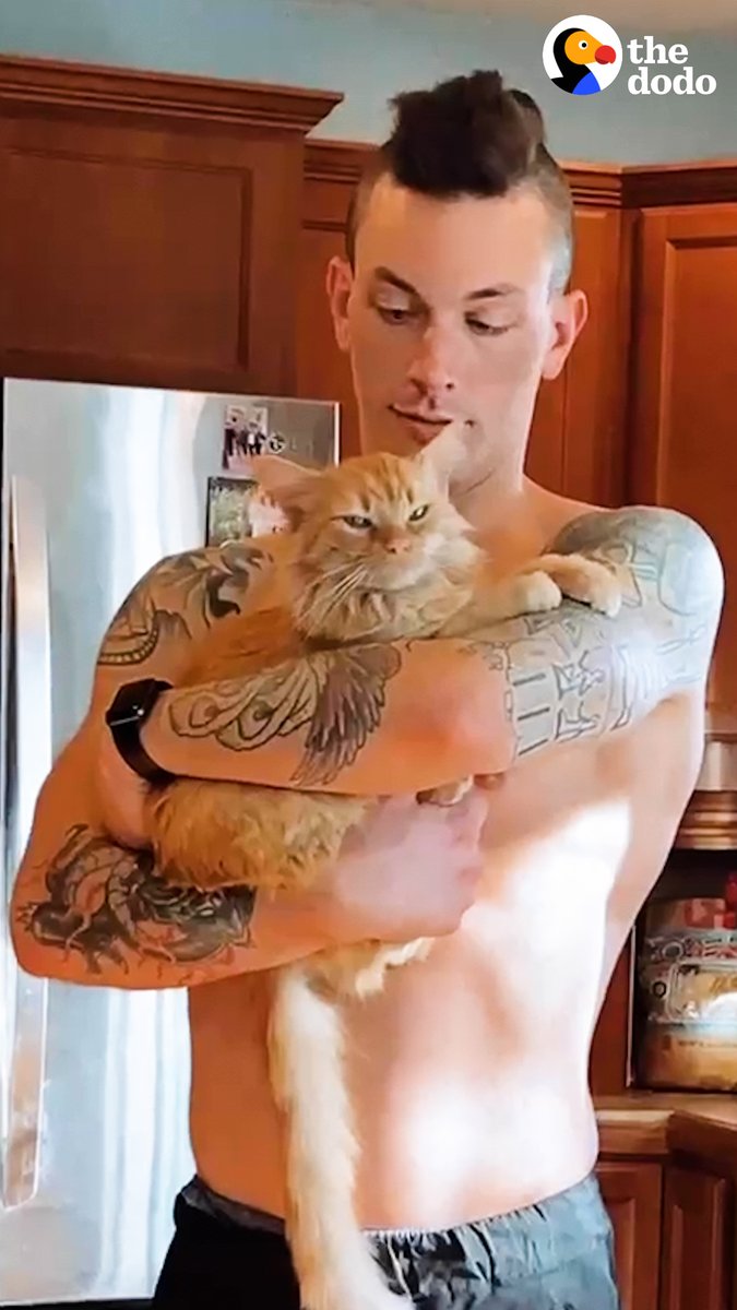 Woman rescues cat from parking lot — and he becomes obsessed with her husband 🥰