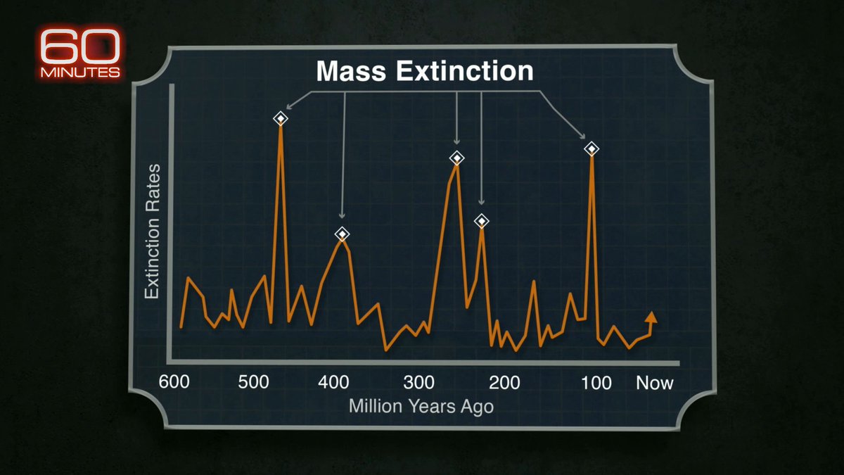 Stanford biologist Tony Barnosky says Earth has been through five mass extinction events -- times when at least 75 percent of known species disappeared from the planet. He told 60 Minutes that we’re now living through the sixth mass extinction.