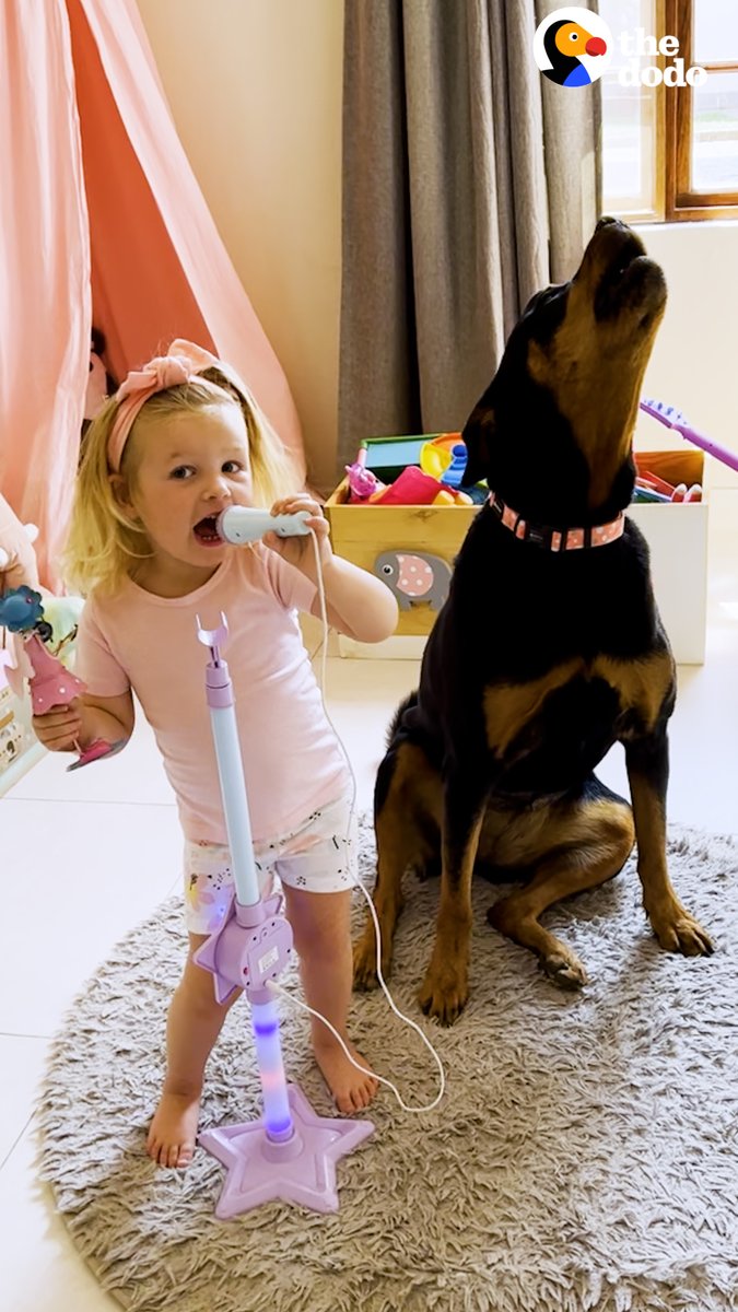 Rottweiler e sua melhor amiga. ❤️