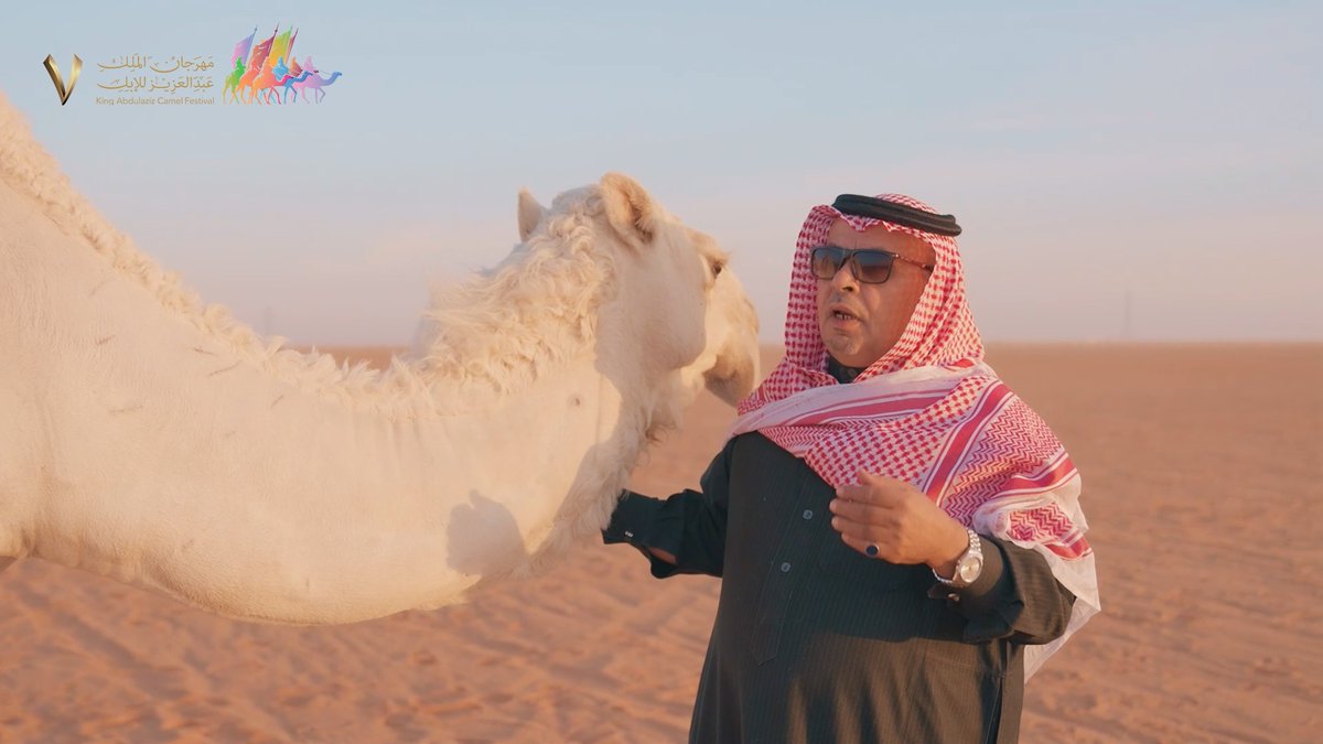 🎥| "الـزول زولــه والحـلايــا حـلايــاه والفعـل ماهــو فعـل وافـي الخصايـل" الإبل إرث وعلاقتها بالإنسان هي علاقة وطيدة ارتبطت به منذ الأزل #مهرجان_الملك_عبدالعزيز_للإبل7 | #همة_طويق