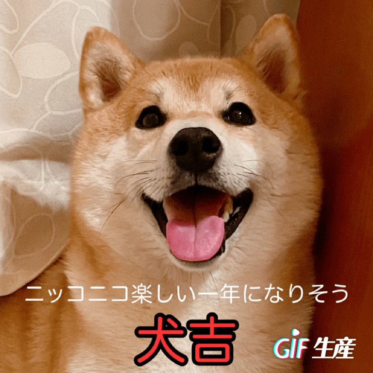 初詣に行かない方もいらっしゃるかと思いますので、 今年を占う栗太郎おみくじを作りました👐🏻 (2つ目の動画を指でタップすると静止します) 皆さんにご利益がありますように✨