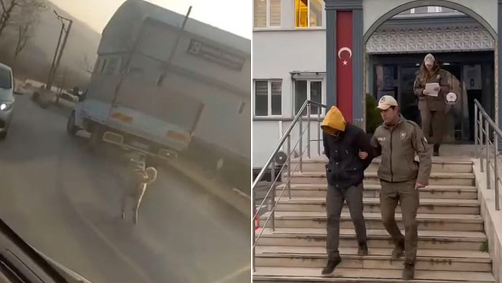 Bursa'da köpeğe eziyet eden sürücü yakalandı
