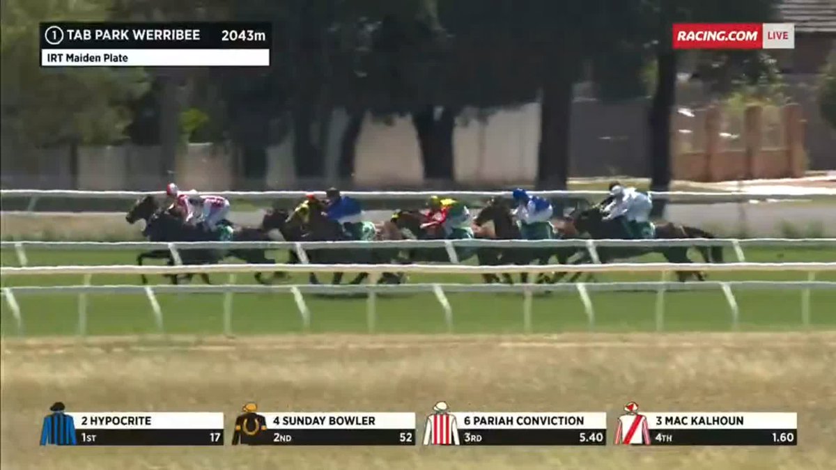 "The barriers are still in the straight!" Remarkable scenes at Werribee 😲