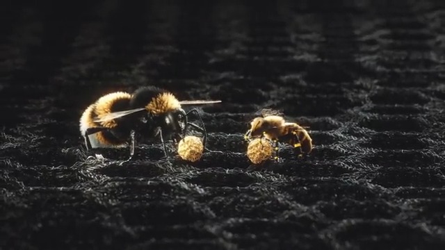 Let's start this year 2023 in the best possible conditions. Tomorrow, 18:00 🐝 x 🐝