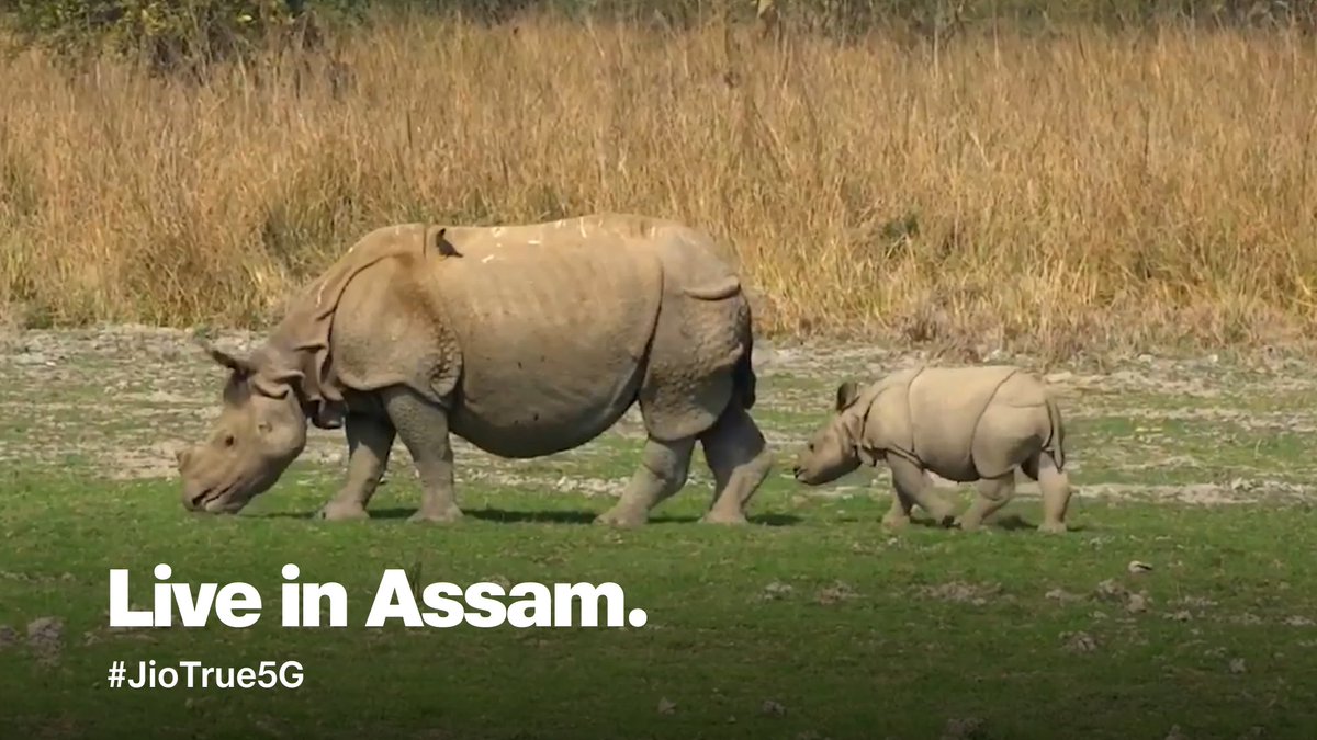 Welcoming Assam on #JioTrue5G 🙏 #Guwahati #KamakhyaTemple #Assam #5G #Jio5G #True5G