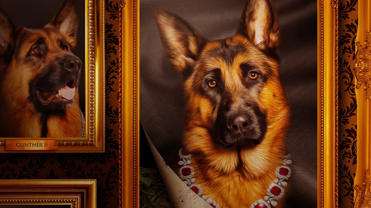 Meet Gunther, a German shepherd who inherited $400 million from a mysterious countess. But behind the world's richest dog lies a tale of deception. Gunther's Millions premieres February 1