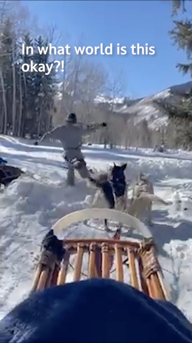 'Dogsledding' is abuse, period.