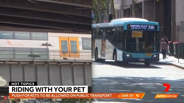 There's a renewed push to overhaul public transport rules to allow pets to ride buses and trains with their owners. Would you like to see pets allowed on board public transport? Cath Webber Joe Hildebrand