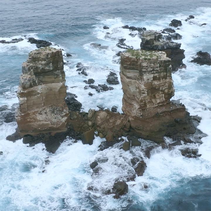 Nearly a quarter of a century since the creation of the Galápagos Marine Reserve, Sylvia A. Earle and Mission Blue led a pioneering expedition to this Hope Spot, identifying conservation opportunities for the next 25 years. More on #PerpetualPlanet #HopeSpots