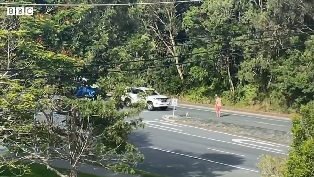 BBCニュース - コアラ優先 豪幹線道路で男性が通行を止める