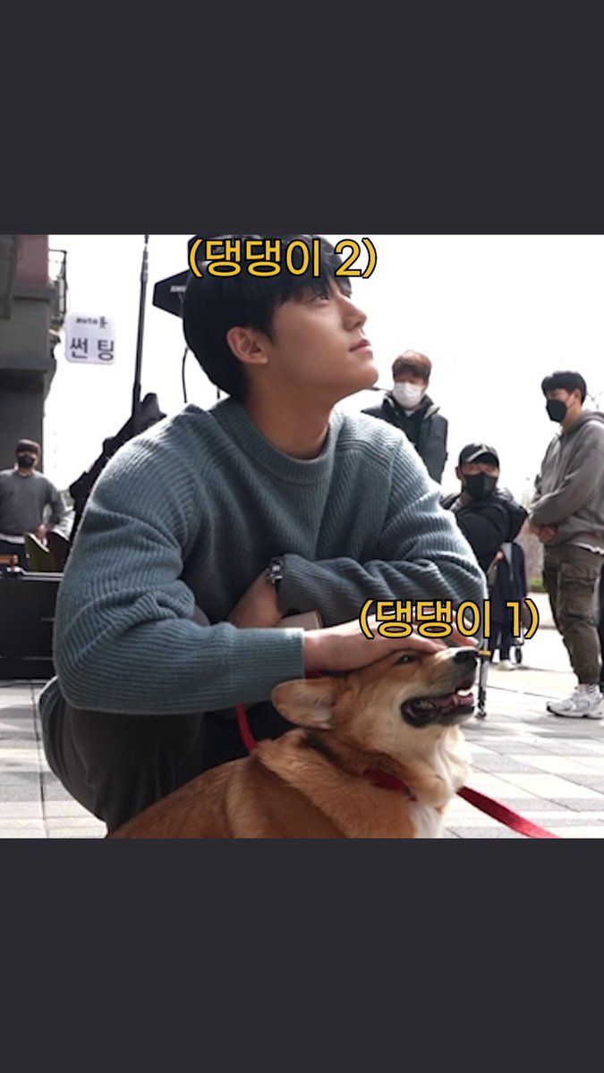 모두의 관심을 독차지한 사랑둥이 댕댕이들. 나 맘먹었어. 오늘부터 내 꿈은 너네야🐶 #더글로리 #TheGlory #송혜교 #SongHyeKyo #이도현 이도현 (LEE DO HYUN) #박성훈 #ParkSungHoon #차주영 #ChaJooYoung #넷플릭스 #Netflix