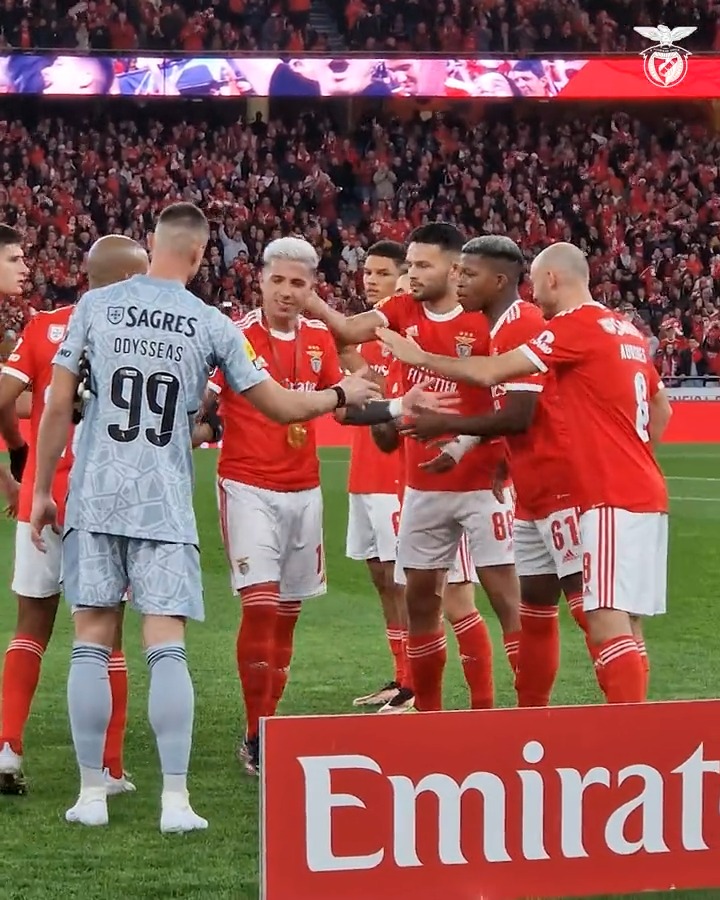 🇦🇷🥇 A homenagem a Enzo Fernandez! #EuAmoOBenfica
