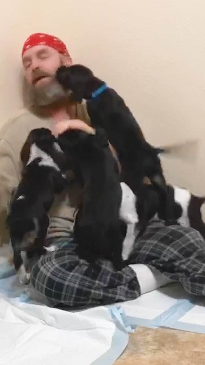 This guy's house: 1/3 for people, 2/3 for rescue animals ❤️