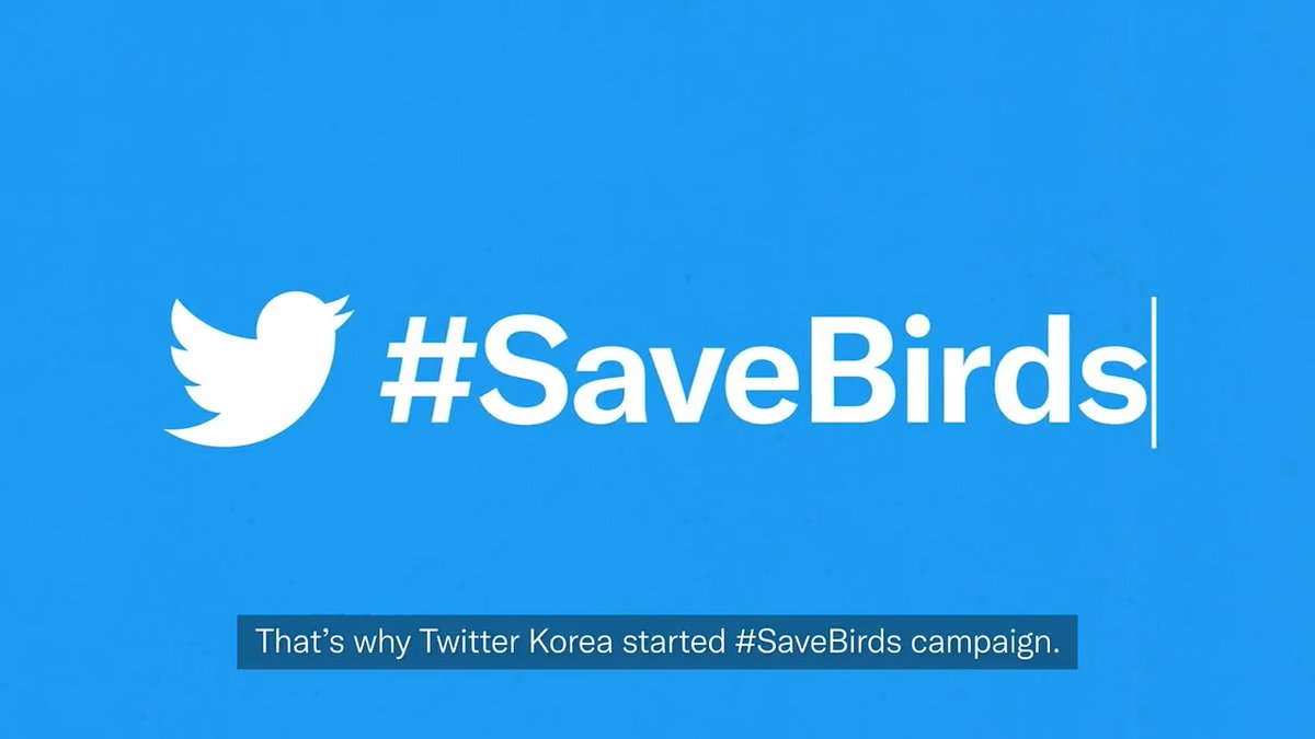 새들을 살리는 생명의 캠페인 #SaveBirds 🕊️ 세계 철새의 날에 시작한 우리의 작은 날갯짓이 점점 큰 움직임이 되어가고 있습니다 우리가 더 많은 새들을 살릴 수 있도록 도움이 필요한 장소를 트윗해 주세요 당신이 지나치지 않는다면 새들도 부딪히지 않습니다