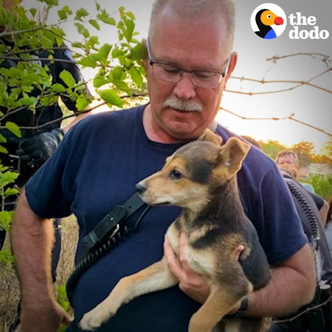 This firefighter saved a puppy — then realized he couldn't live without him 💛