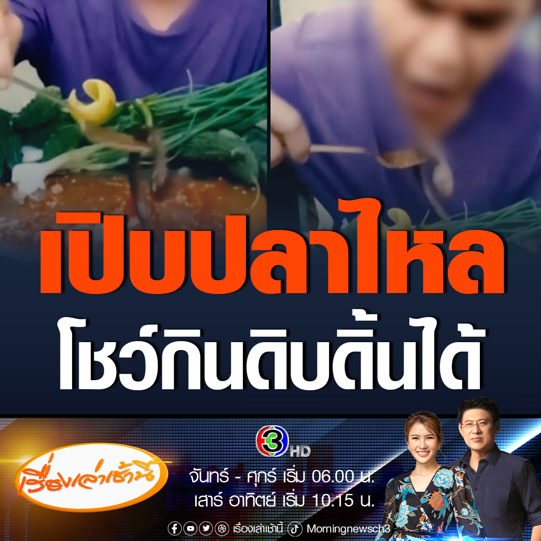 #เรื่องเล่าเช้านี้ เปิบพิสดารมาอีกแล้ว! เตือนอย่าหาทำ โชว์กินปลาไหลตัวเป็น ๆ ดิ้นได้ ห่วงเชื้อโรคเข้าสู่ร่างกายลามถึงสมอง วอนหน่วยงานที่เกี่ยวข้องเตือนประชาชนอย่าทำตาม #ข่าวช่อง3 #ข่าวโซเชียล #ปลาไหลดิบ #เปิบพิสดาร