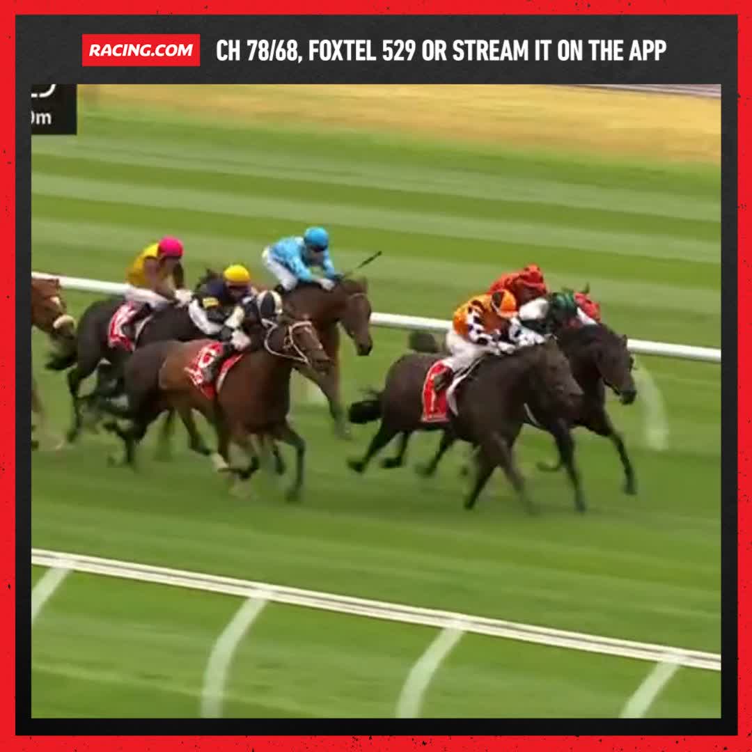 Yasuke runs over the top of them on debut 🔥 Chris Waller Racing Jye McNeil