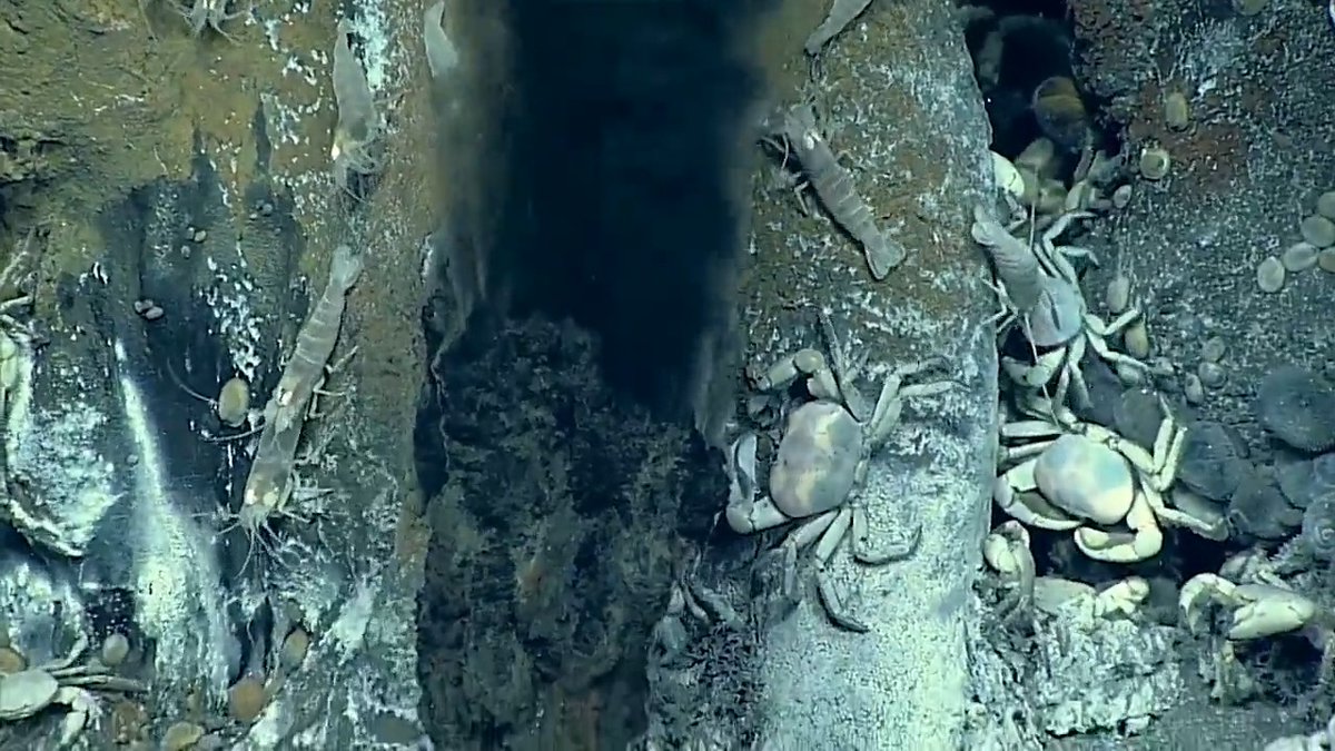 Reminder: The Mariana Trench in the Pacific Ocean is deeper than Mount Everest is tall. The deepest section of the Mariana Trench, named Challenger Deep, is at a depth of 36,000 feet. For perspective, Mount Everest is 29,000 feet tall. Video: NOAA Ocean Exploration