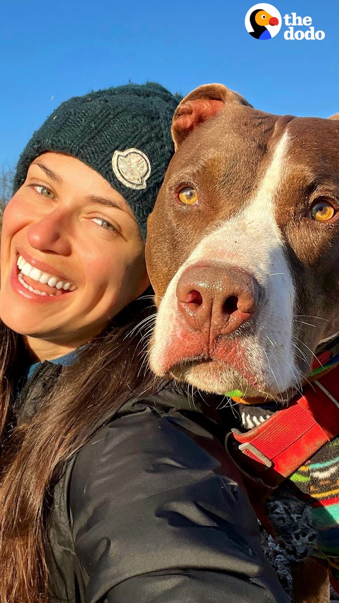 People didn't like seeing this pittie show up at dog sports competitions at first, but watch him win at everything! Keep up with Pirate and Asha and all their adventures on Instagram: