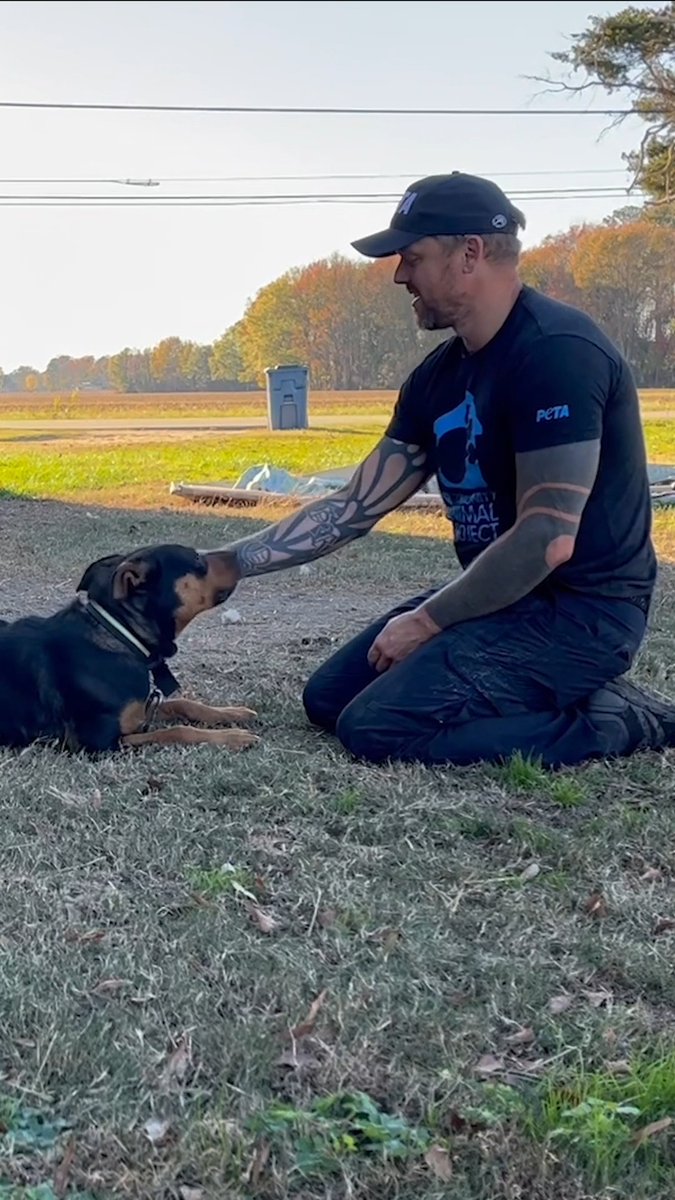 Buck probably hasn’t been given this much attention in a very long time 💔 PETA fieldworkers do everything in their power to help make neglected dogs’ days a little brighter.