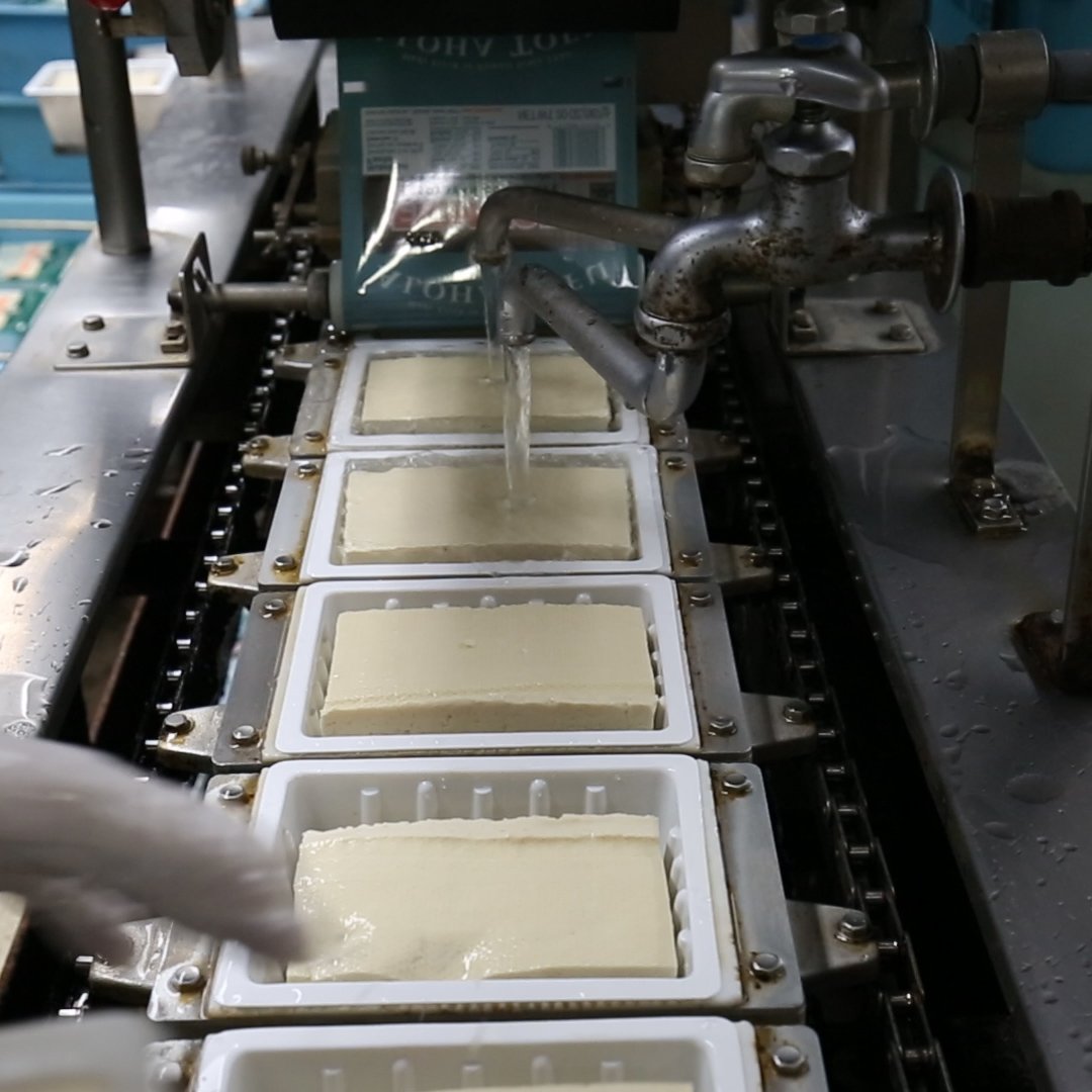 What happens at a tofu factory. No undercover activists or hidden spy cameras were needed to obtain this footage.