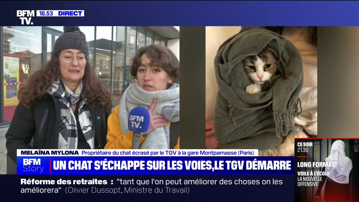 💬 "Ils ont dit que ce n'était qu'un chat et que ce n'était pas leur problème" Le chat de Melaïna a été coupé en deux par un TGV, elle demande justice à la SNCF ⤵